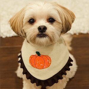 Pumpkin Chai Latte Dog Bandana (PCL)